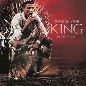 Meet your Posher, Julian